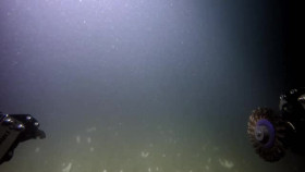 Abandoned Expedition Shipwreck S01E10 Toxic Wrecks XviD-AFG EZTV