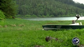 Alaskan Bush People S04E14 720p HDTV x264-W4F EZTV