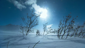Arctic From Above S01E03 1080p WEB H264-CBFM EZTV