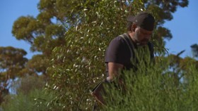 Aussie Gold Hunters S06E09 1080p HEVC x265-MeGusta EZTV