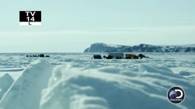 Bering Sea Gold S09E02 HDTV x264-W4F EZTV