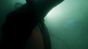 Bering Sea Gold S12E14 Frozen Chokehold DISC WEB-DL AAC2 0 x264-BOOP EZTV