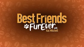 Best Friends FurEver with Kel Mitchell S01E15 720p WEB x264-LiGATE EZTV