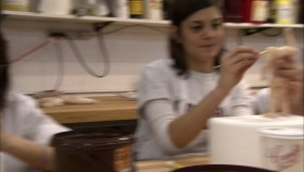Cake Boss S01E06 Undead Unclothed and Unhappy Mama INTERNAL 720p WEB x264-GIMINI EZTV
