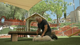 Cesar Millan Better Human Better Dog S03E08 XviD-AFG EZTV