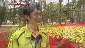 Cool Japan S03E05 Flowers 720p HDTV x264-DARKFLiX EZTV