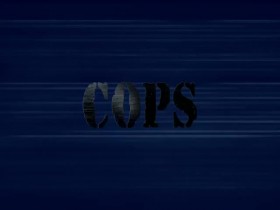 Cops S32E13 480p x264-mSD EZTV