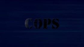 Cops S32E13 WEB x264-CookieMonster EZTV