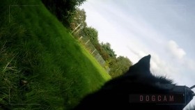 Cops UK Bodycam Squad S02E04 720p WEB x264-GIMINI EZTV