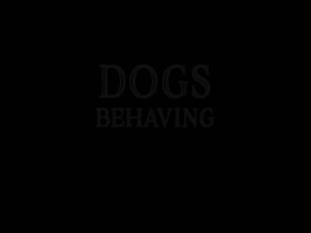 Dogs Behaving Badly S01E04 480p x264-mSD EZTV