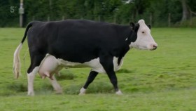 Escape to the Farm with Kate Humble S01E03 XviD-AFG EZTV