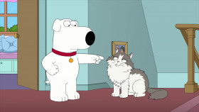 Family Guy S19E19 Family Cat 1080p HULU WEBRip DDP5 1 x264-NTb EZTV