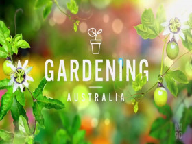 Gardening Australia S33E27 480p x264-mSD EZTV