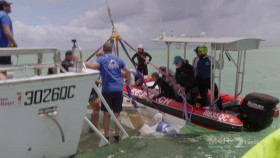Gold Coast Ocean Rescue S01E09 XviD-AFG EZTV