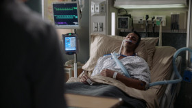 Greys Anatomy S18E02 1080p WEB H264-DEXTEROUS EZTV