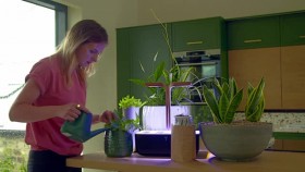 Grow Your Own at Home with Alan Titchmarsh S01E06 XviD-AFG EZTV