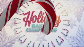 Holiday Baking Championship S07E08 Christmas Windows in Time 720p HEVC x265-MeGusta EZTV