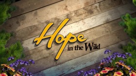 Hope in the Wild S02E08 A Day in the Life of Lily 720p WEB x264-LiGATE EZTV