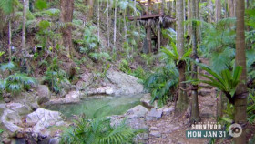 Im A Celebrity Get Me Out of Here AU S08E01 XviD-AFG EZTV