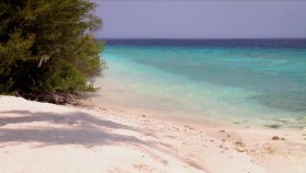Island Hunters S01E19 A Voyage Through the Maldives WEB x264-KOMPOST EZTV