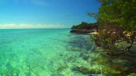 Island Hunters S04E01 Island Shopping in the Bahamas WEB x264-KOMPOST EZTV