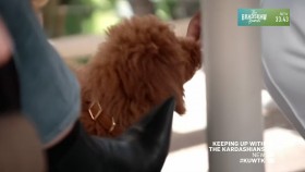 Keeping Up With the Kardashians S19E02 Paris Puppies and Pranks 720p HEVC x265-MeGusta EZTV