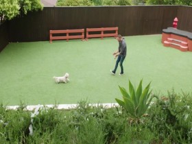 Lucky Dog S07E11 Phoebe 480p x264-mSD EZTV