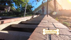 Lucky Dog S07E16 Ash WEB x264-LiGATE EZTV