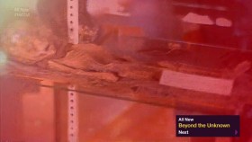 Mysteries At The Museum S23E10 Hurricane Ghost Deadly Christmas Gift 720p HDTV x264-W4F EZTV