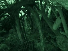 Naked and Afraid S11E17 Trying To Deal With The Devil 480p x264-mSD EZTV