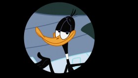 New Looney Tunes S02E16 XviD-AFG EZTV