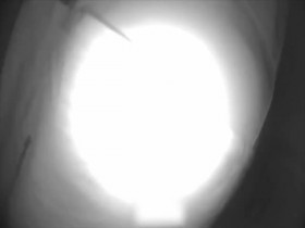 Paranormal Caught on Camera S03E22 Cajun Skunk Ape and More 480p x264-mSD EZTV