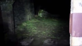 Paranormal Caught on Camera S04E11 Skinwalker Stalker and More 720p HEVC x265-MeGusta EZTV