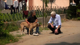 Paul O Grady For The Love Of Dogs India S01E03 1080p HDTV H264-CBFM EZTV