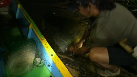 Robson Green Extreme Fisherman S01E06 Borneo 720p WEB x264-GIMINI EZTV