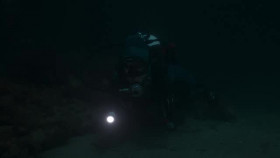 Secrets of the Octopus S01E03 XviD-AFG EZTV