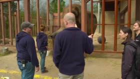 Secrets of the Zoo North Carolina S01E05 Giraffic Park XviD-AFG EZTV