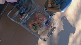 Supermarket Stakeout S04E14 Homage to the Parking Lot XviD-AFG EZTV