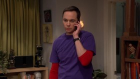The Big Bang Theory S11E13 iNTERNAL 720p WEB x264-BAMBOOZLE EZTV