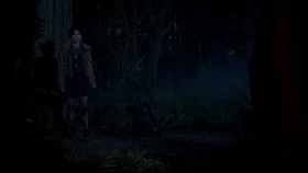 The Girl in the Woods S01E08 720p WEB h264-KOGi EZTV