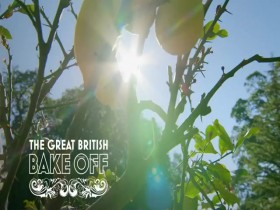 The Great British Bake Off S06E06 480p x264-mSD EZTV