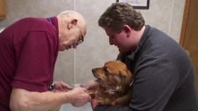 The Incredible Dr Pol S18E02 Shiver Me Puppers XviD-AFG EZTV