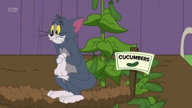 The Tom And Jerry Show S03E15 720p HDTV x264-PLUTONiUM EZTV