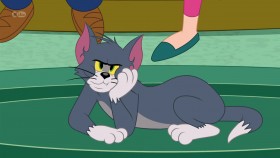 The Tom And Jerry Show S03E19 720p HDTV x264-PLUTONiUM EZTV