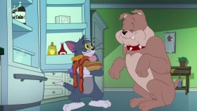 The Tom And Jerry Show S03E31 720p HDTV x264-PLUTONiUM EZTV