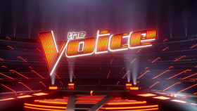 The Voice S21E02 720p WEB h264-KOGi EZTV