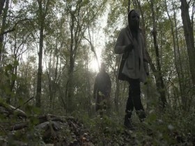 The Walking Dead S10E17 iNTERNAL 480p x264-mSD EZTV