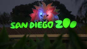 The Zoo San Diego S02E01 720p WEBRip x264-BAE EZTV