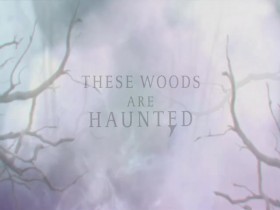 These Woods Are Haunted S02E01 It Came From Hell and Ozark Bigfoot 480p x264-mSD EZTV