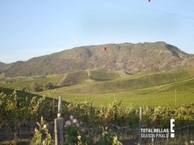 Total Bellas S06E09 From Gynos to Winos 480p x264-mSD EZTV